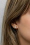 Heliophilia Silver Pendientes de Plata de Ley 925 con Circón